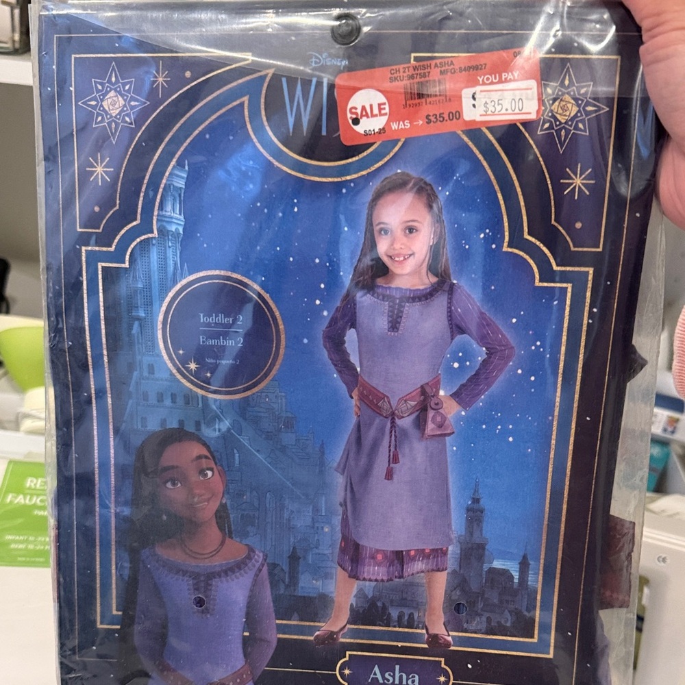 Disney Asha Toddler Dress - Purple and Gold